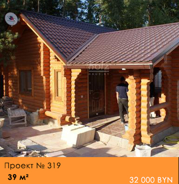 Проект № 319